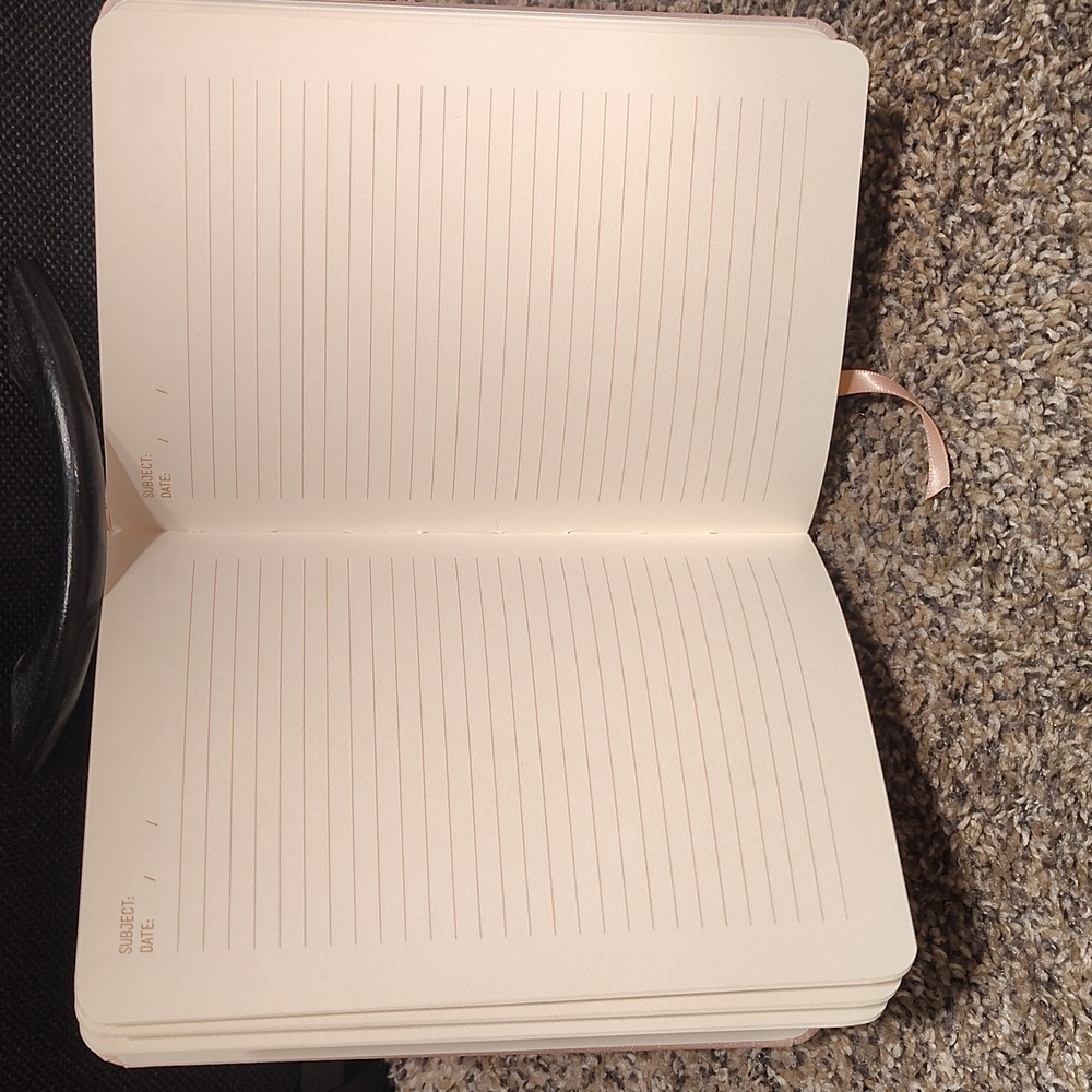 DesignWorks Ink Starry Beige Journal & A NOVEL JOURNAL PETER PAN BUNDLE LISTING - Picture 5 of 14